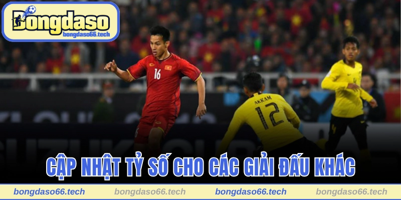 Cập nhật tỷ số chính xác cho các giải đấu khác