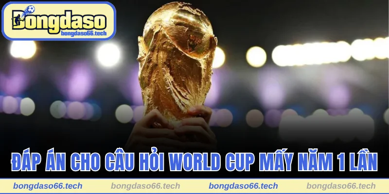 Đáp án cho câu hỏi World Cup mấy năm 1 lần