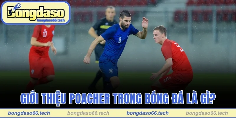 Giới thiệu Poacher trong bóng đá là gì?