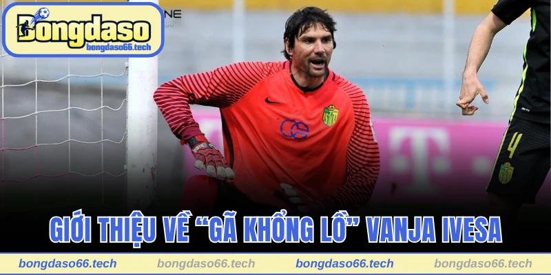 BXH Các Cầu Thủ Bóng Đá Cao Nhất Thế Giới Mới Nhất 2025 2 Giới thiệu về “gã khổng lồ” Vanja Ivesa