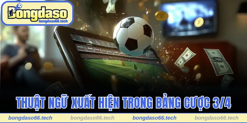 Khám phá thuật ngữ xuất hiện trong bảng cược 3/4 