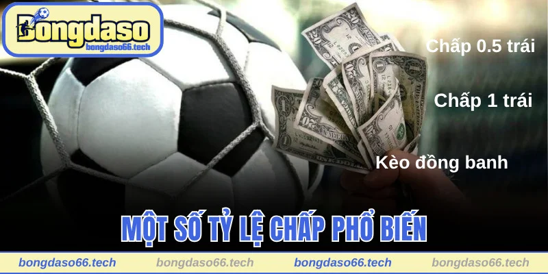 Một số tỷ lệ chấp phổ biến trong kèo cược châu Á