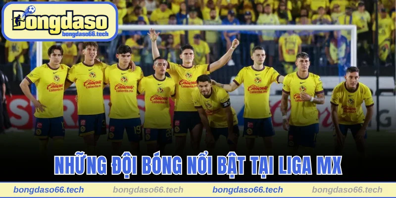 Những đội bóng nổi bật tại Liga MX