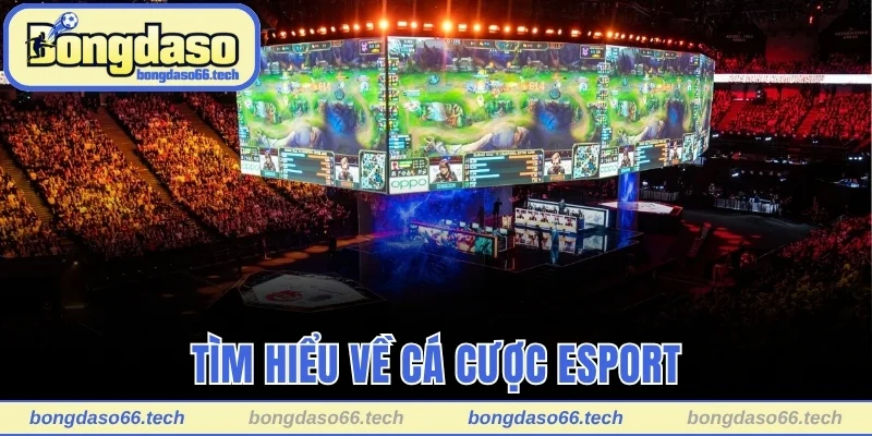 Tìm hiểu về cá cược esport