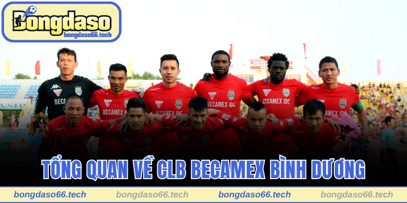 Tổng quan nhanh về CLB Becamex Bình Dương