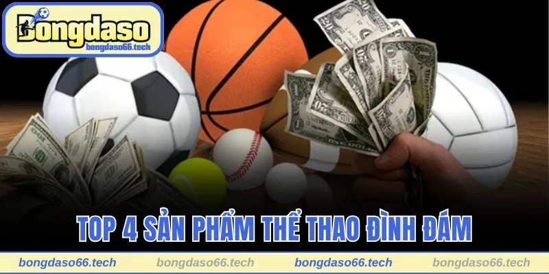 Top 4 sản phẩm thể thao đình đám